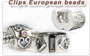 silver European clips