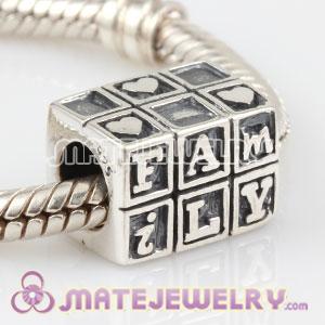925 Sterling Silver Family charm Beads fit European Beads