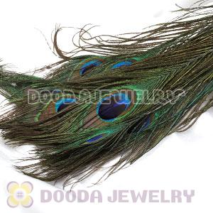 Real Natural Peacock Tail Eye Feather Hair Extension Wholesale
