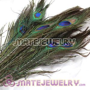 Wholesale Real Natural Peacock Tail Eye Feather Hair Extension 