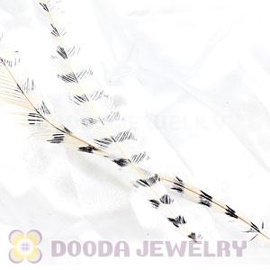 Ivory Thin Striped Grizzly Bird Feather Hair Extension Wholesale