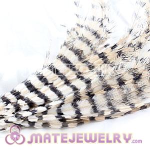 Wholesale Ivory Thin Striped Grizzly Bird Feather Hair Extension 
