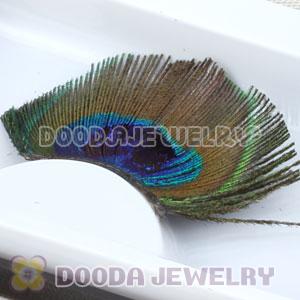 Fashion Radiant Peacock Tail Eye Feather False Eyelash Wholesale