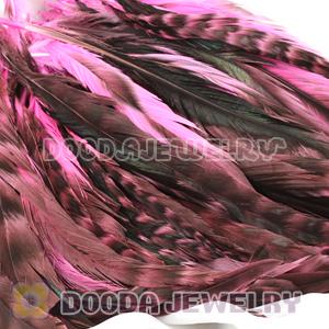 Natural Fuschia Barred Plymouth Rock Rooster Feather Hair Extensions Wholesale