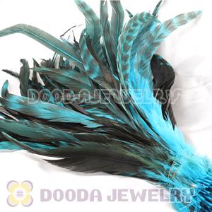 Natural Blue Barred Plymouth Rock Rooster Feather Hair Extensions Wholesale