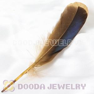 Natural Duck Grey Loose Feather Hair Extensions Wholesale