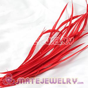 Red Goose Biots Loose Feather Hair Extensions 
