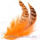 Natural Striped Orange Grizzly Rooster Feather Hair Extensions Wholesale