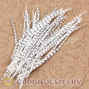 White Striped Goose Biots Loose Feather Hair Extensions Wholesale