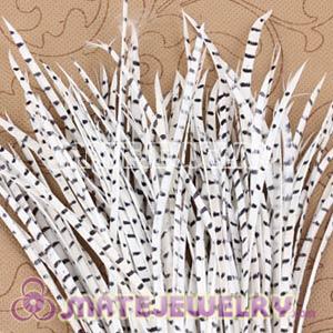 Wholesale White Striped Goose Biots Loose Feather Hair Extensions 
