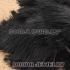 Black Plumes Big Flake Ostrich Feather Hair Extensions Wholesale