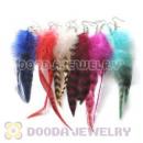 120 Pair Per Bag Mix Color Rooster Feather Earrings With Alloy Fishhook Wholesale