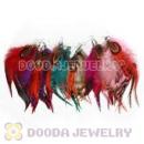 120 Pair Per Bag Multi Coloured Cheap Long Feather Earrings Wholesale