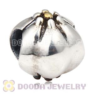 Gold Plated and Charm Jewelry 925 Silver Beads and Charms