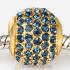 Gold Plated Sterling Pave Lights with Montana Austrian Crystal Charm