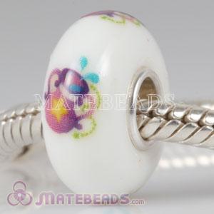 Lampwork Glass Painted Aquarius Bead fit European Largehole Jewelry Bracelets